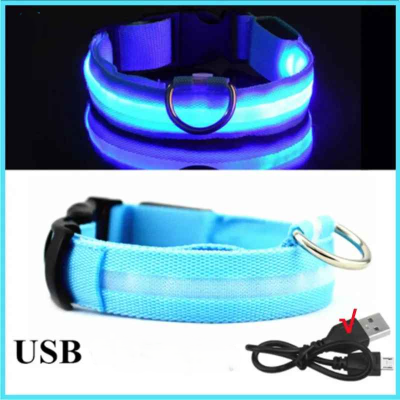 Chien collier lumineux bleu