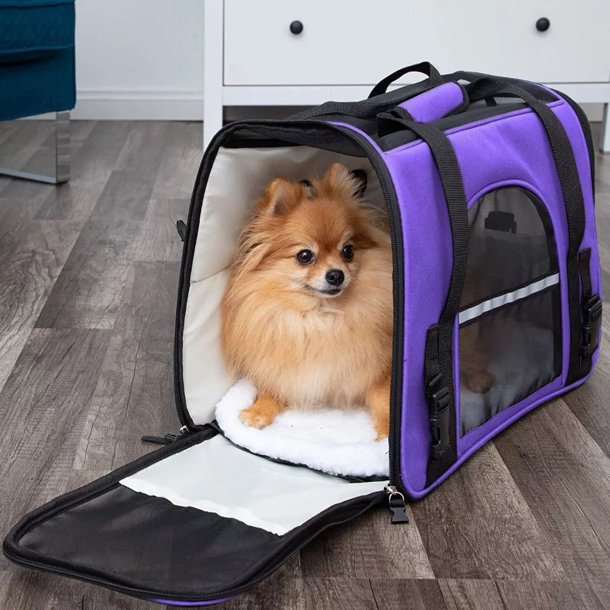 SAC DE TRANSPORT POUR CHIEN | LOVY violet