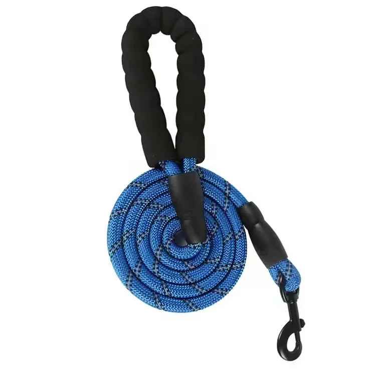 Laisse chien bleu