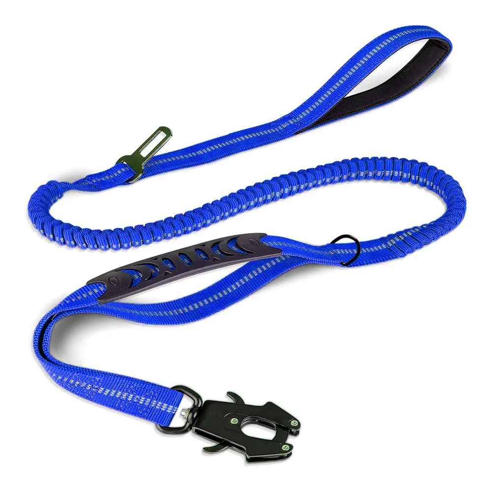 Laisse chien couleur bleu