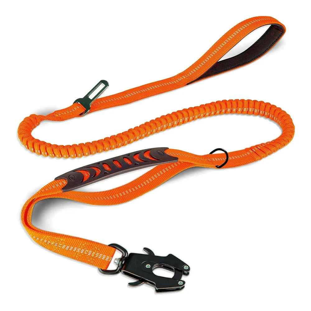 Laisse chien couleur orange