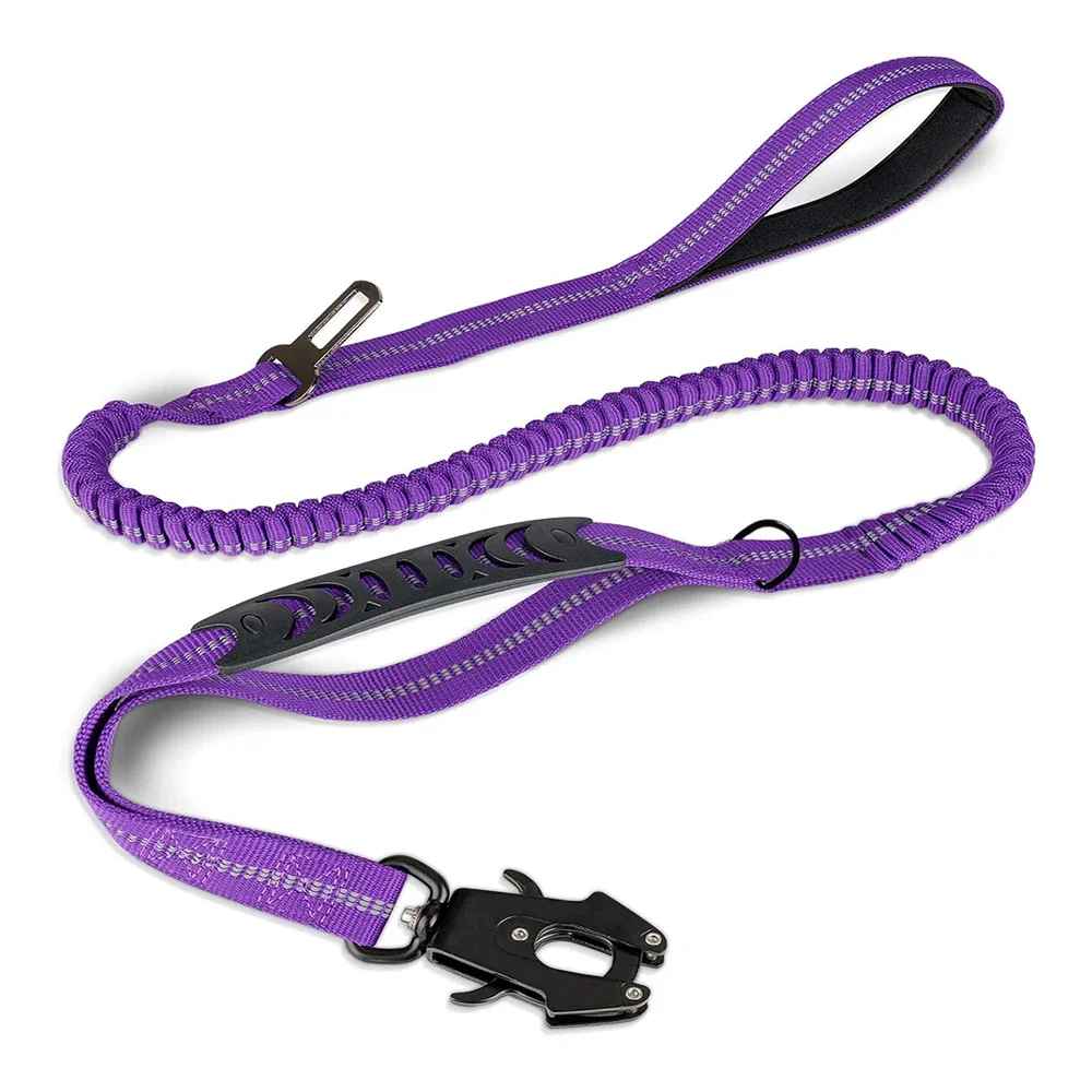 Laisse chien couleur violet