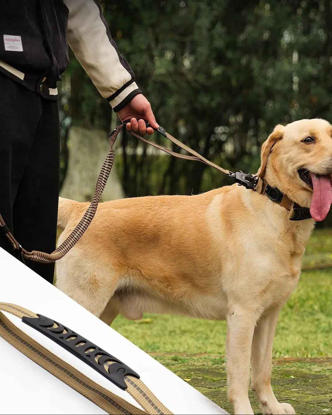 Laisse chien poignee de traffique et attache securitaire