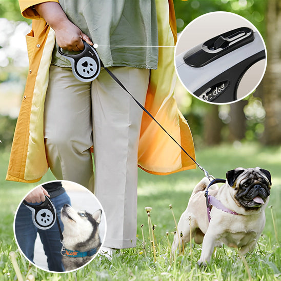 Laisse chien pug descriptif