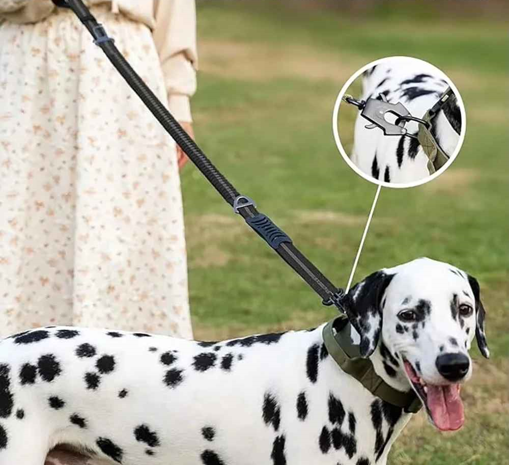 Laisse chien sur le terrain de jeu
