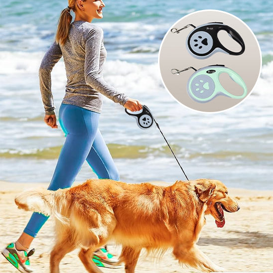 Laisse chien sur plage