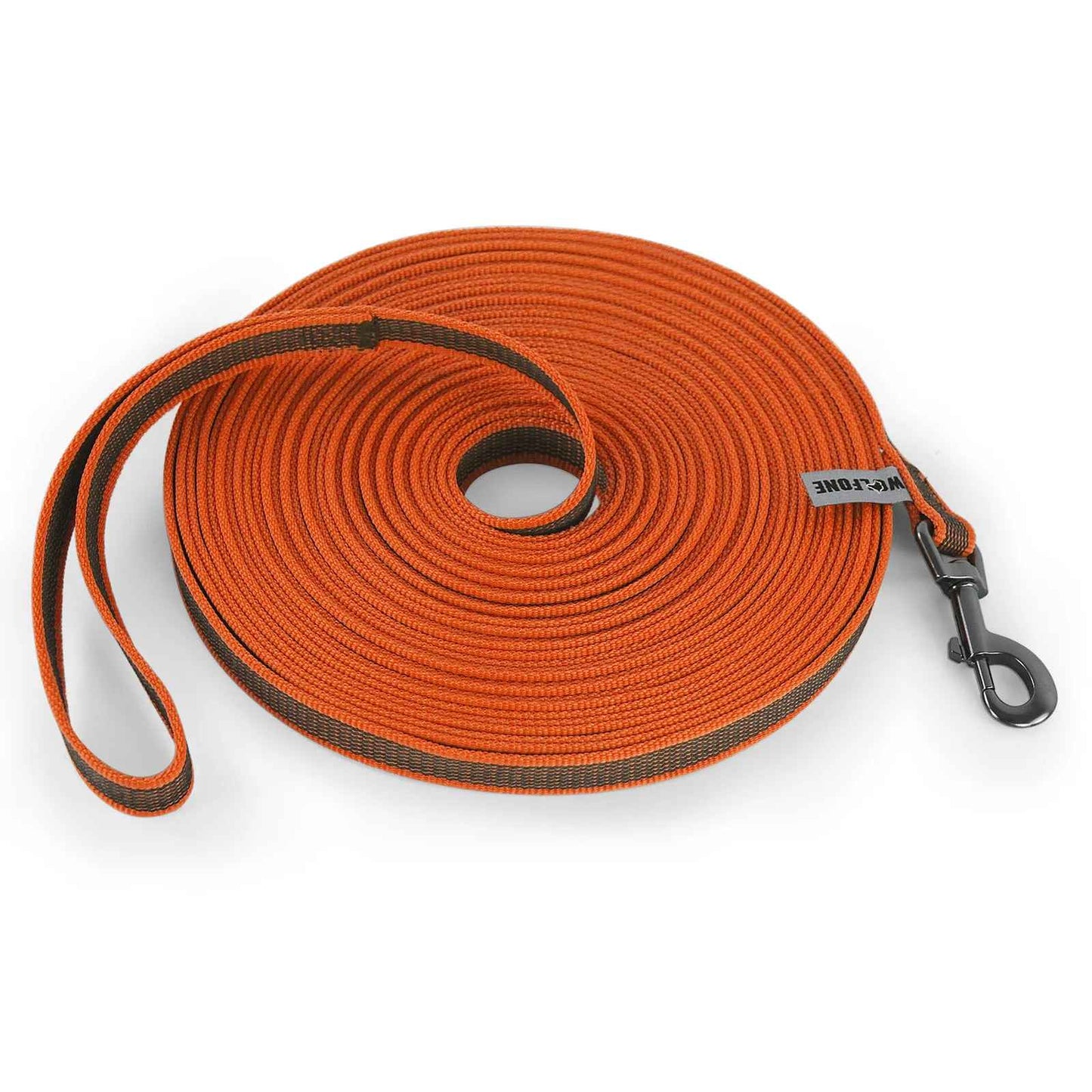 Laisse pour chien couleur orange