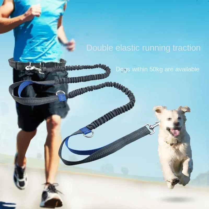 Laisse pour chien | Main libre