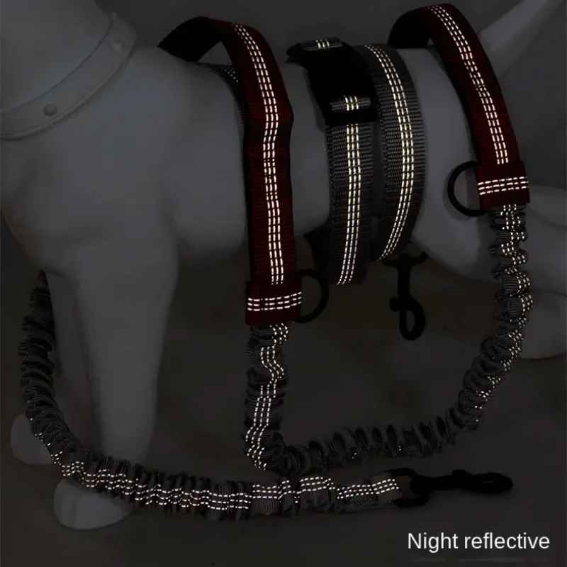 Laisse pour chien | Main libre