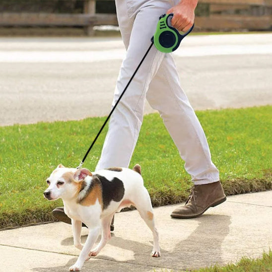 Laisse pour chien enrouleur avec chien et femme a la marche