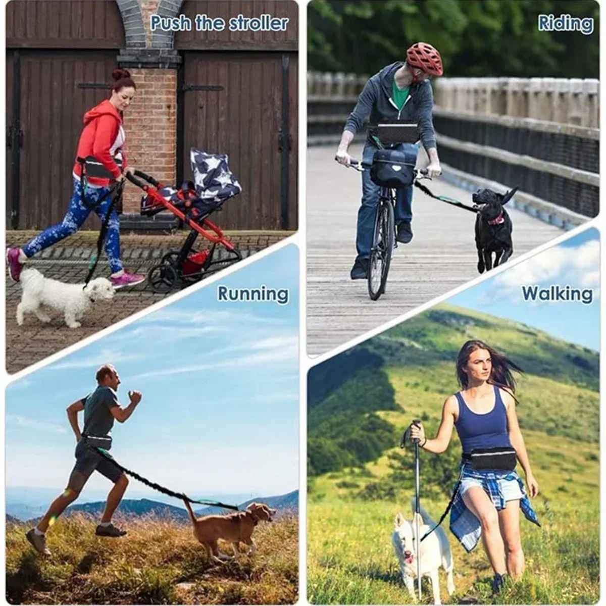 Laisse pour chien main libre de taille en toute action