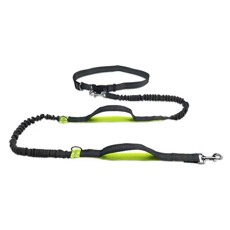 Laisse pour chien | Main libre