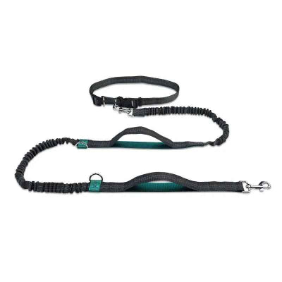 Laisse pour chien main libre vert_9b3343cb-cc35-4b32-aa4f-bd0fafc1394a