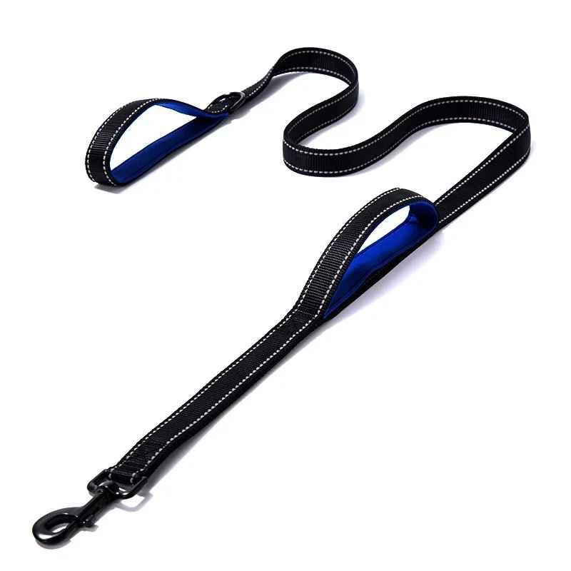 Laisse pour chien noir et bleu