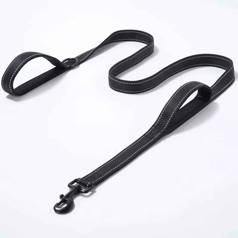 Laisse pour chien noir