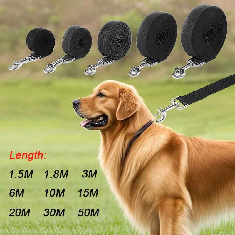 Longe pour chien en promenade