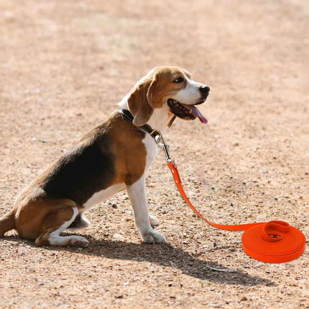 Longe pour chien en pvc en entrainement