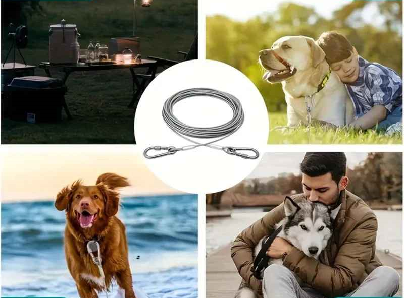 Longe pour chien en toute occasion exterieure