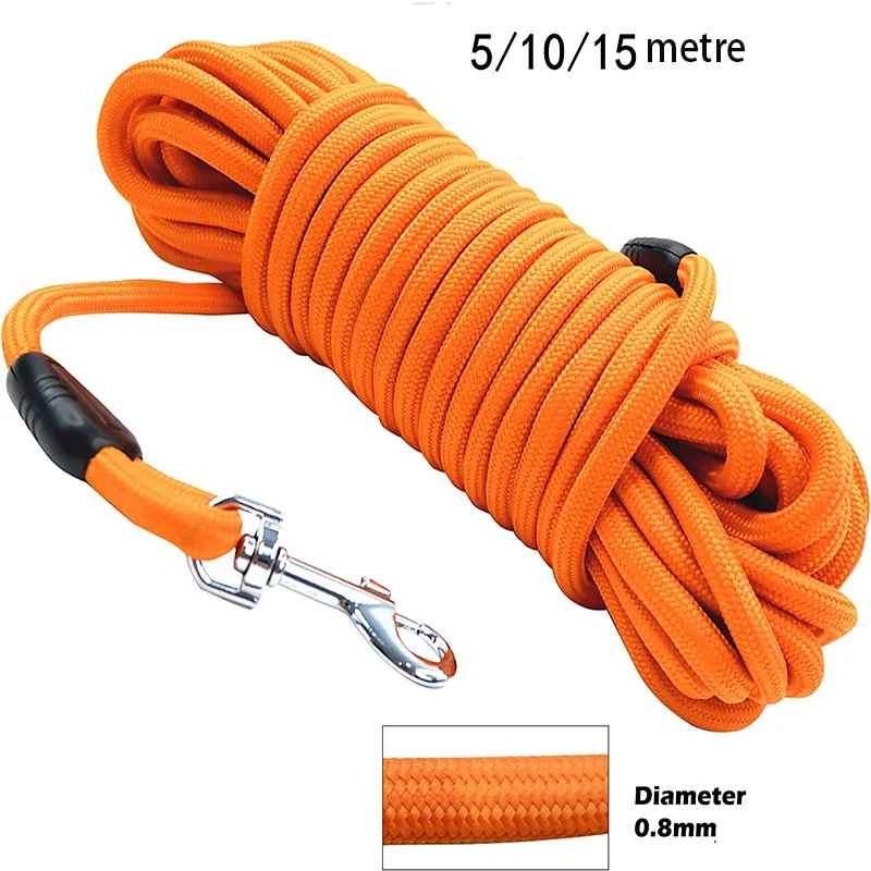 Longe pour chien pratique demonstration
