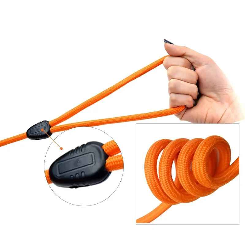 Longe pour chien pratique poignee demo