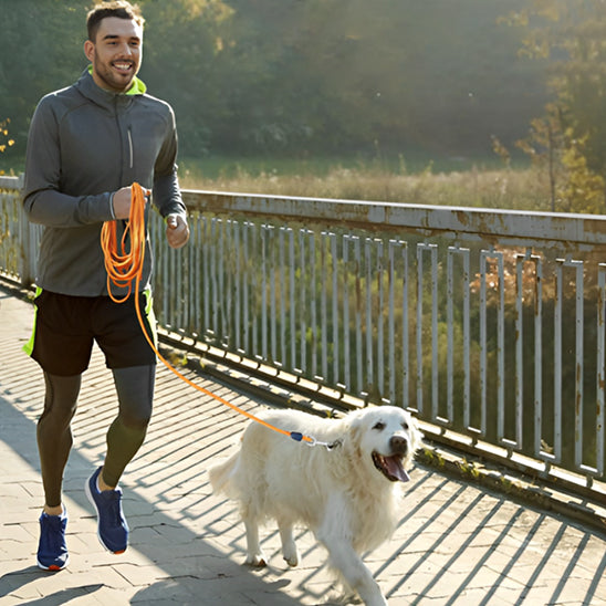 Longe pour chien traversant le pont