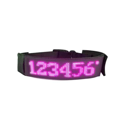 collier chien lumineux violet