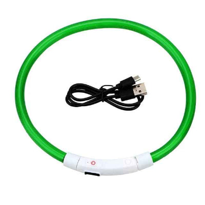 collier lumineux pour chien vert