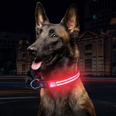 collier lumineux rouge 71enAfV992L._AC_SX679