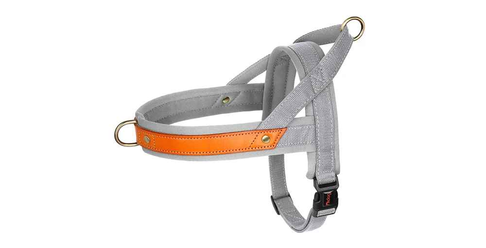 harnais chien anti traction gris