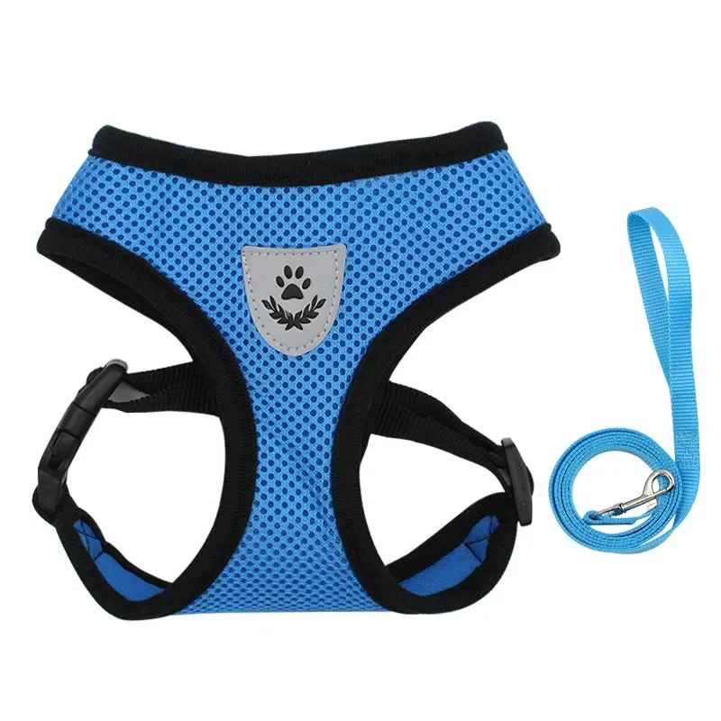 harnais chien avec laisse bleu