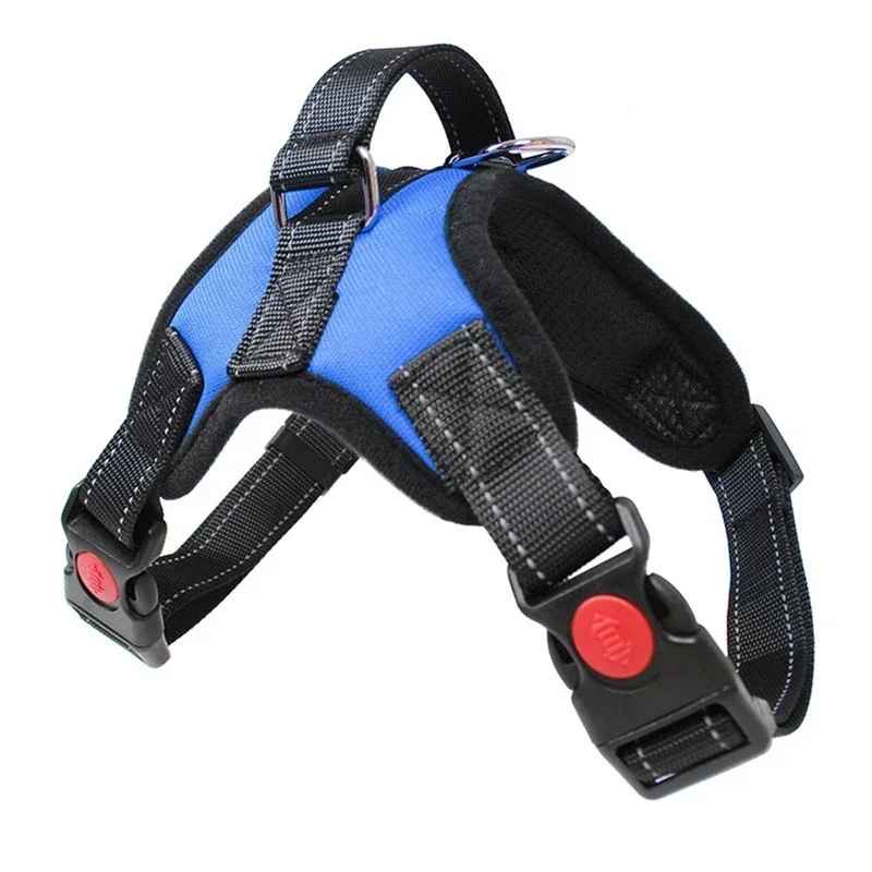 harnais chien courroie noire couleur bleu