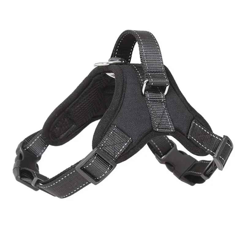 harnais chien courroie noire couleur noir