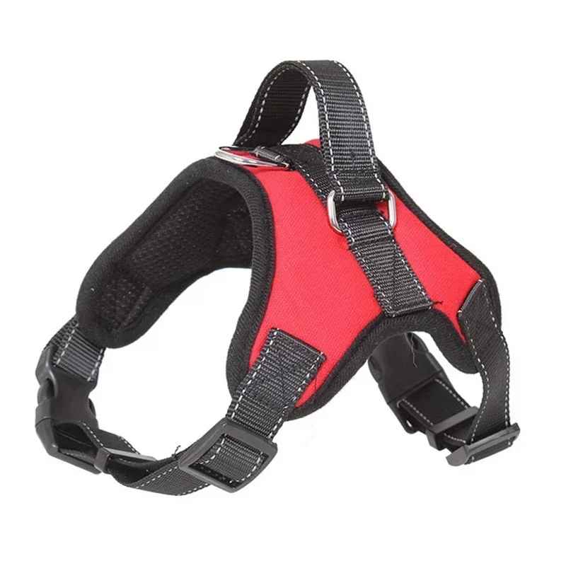 harnais chien courroie noire couleur rouge