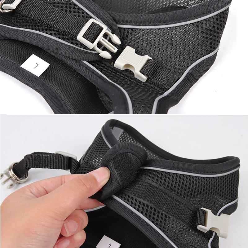 harnais chien demonstration attache