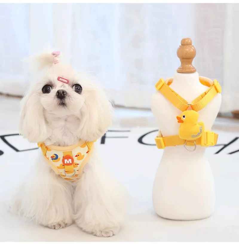 harnais chien modele canard avec chien