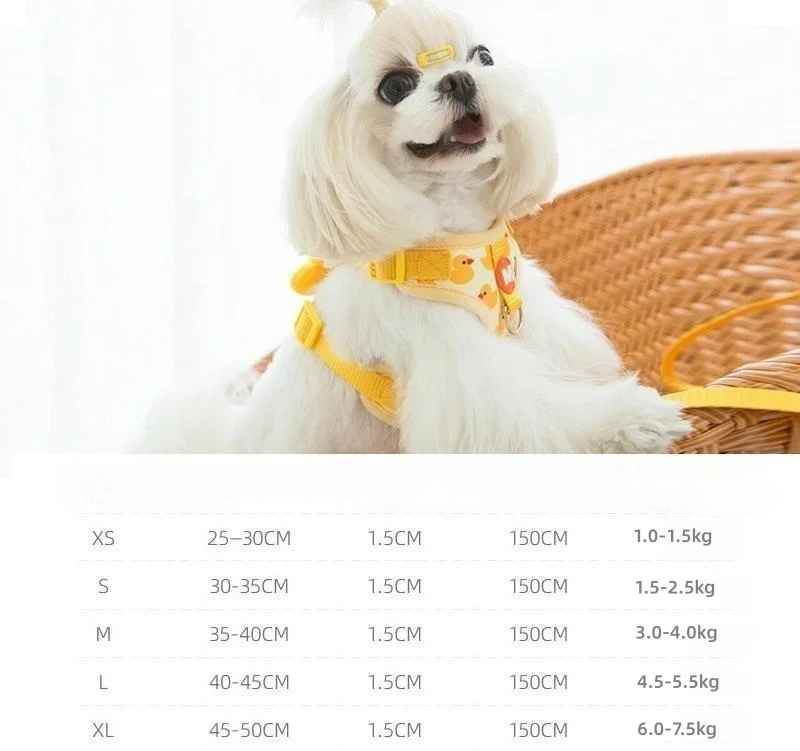 harnais chien modele canard legende chien dans un panier