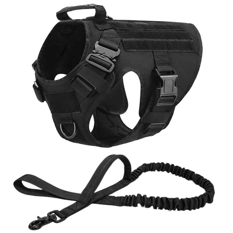 harnais chien noir 2 pieces