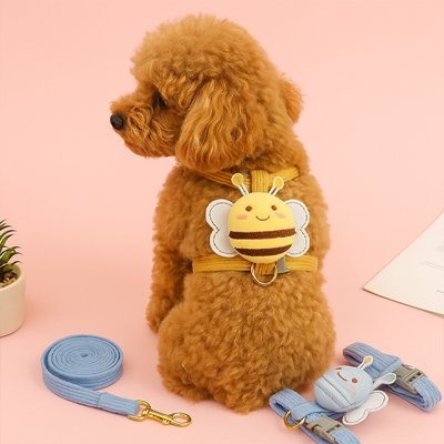 harnais pour chien caniche assis