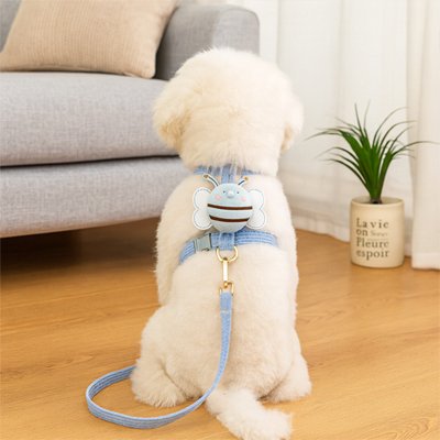 harnais pour chien caniche blanc joli
