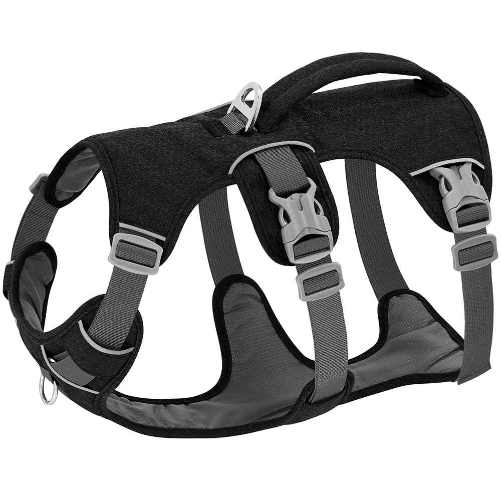 harnais pour chien noir