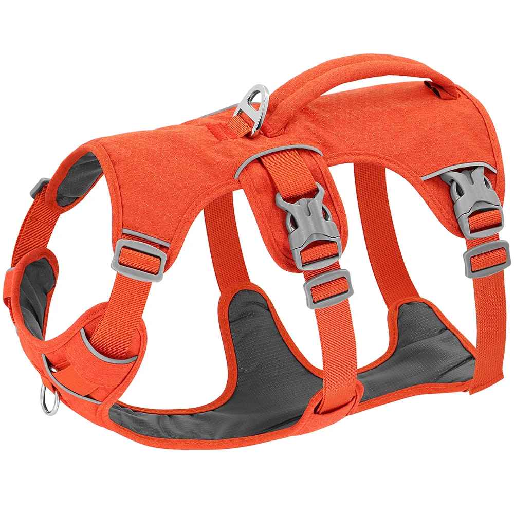harnais pour chien orange
