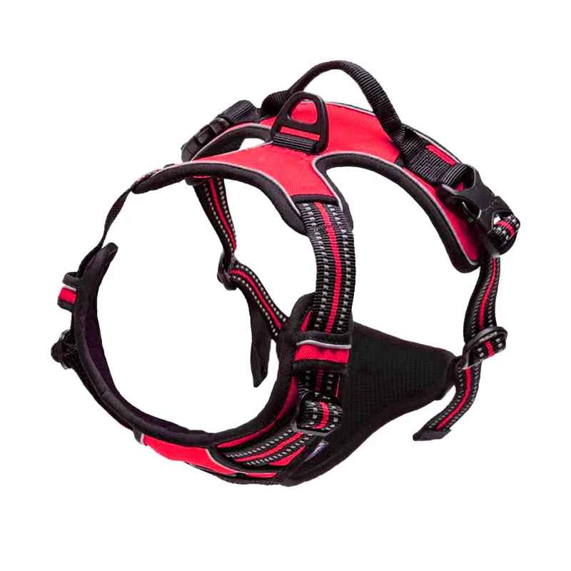 harnais pour chien photo rouge