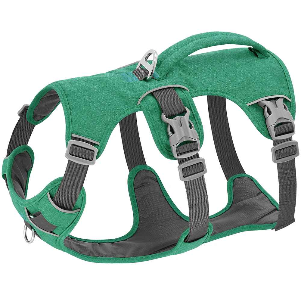 harnais pour chien vert