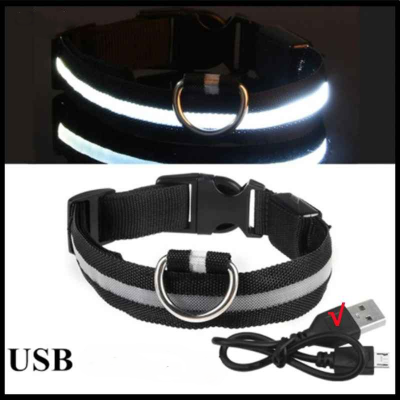 Chien collier lumineux noir