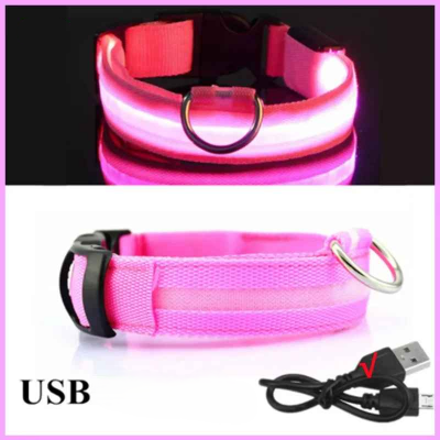 Chien collier lumineux rose