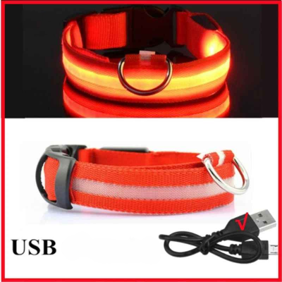 Chien collier lumineux rouge