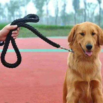 Laisse chien assis terrain jeu