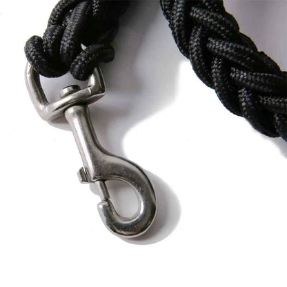 Laisse chien attache solide mousqueton