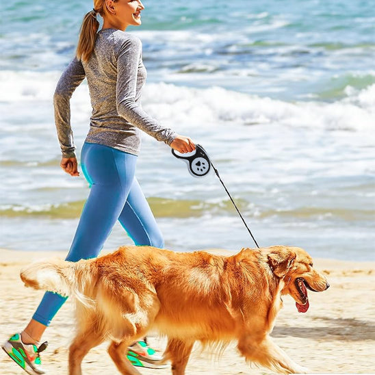 Laisse chien avec sa maitresse
