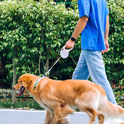 Laisse chien avec son maitre